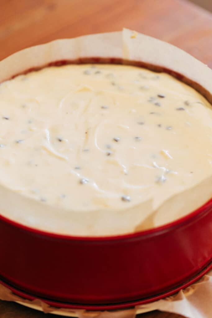 cheesecake batter in a cheesecake pan